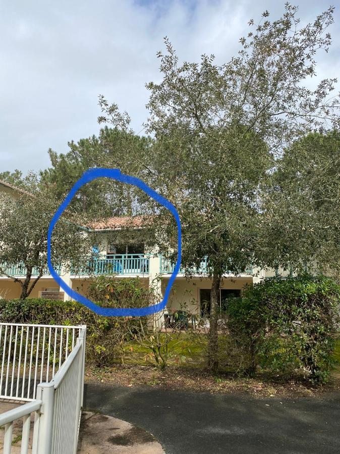 Appartement 3 Pieces, 6 Perso Avec Piscine Chauffee En Saison Domaine Du Golf De Pinsolle Soustons Εξωτερικό φωτογραφία
